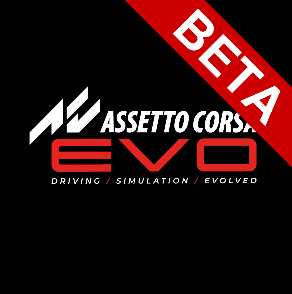 Assetto Corsa EVO