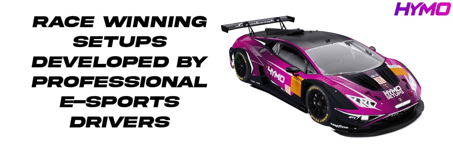 lemans banner